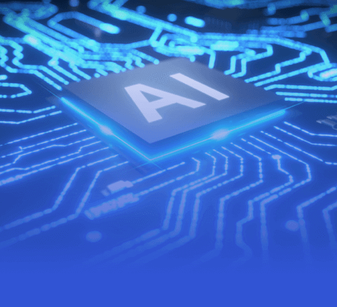 新手入门指南：三亿体育有限公司